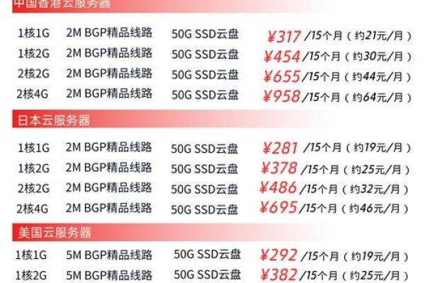 租用海外服务器指南，费用规划与操作要点-百挑一