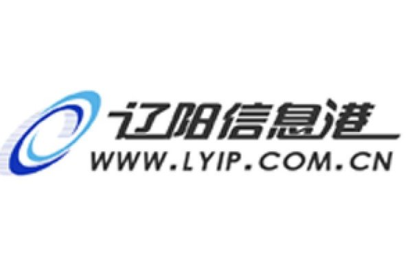 辽阳信息平台解析，从信息港到政府网的功能与特点探究-百挑一