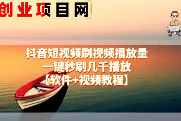 抖音自助刷量平台，全天候极速便捷服务-百挑一