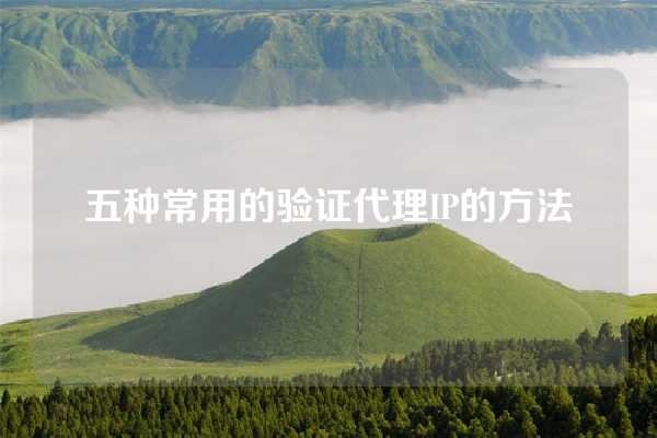 兔子IP地址修改器,探索与解析-百挑一