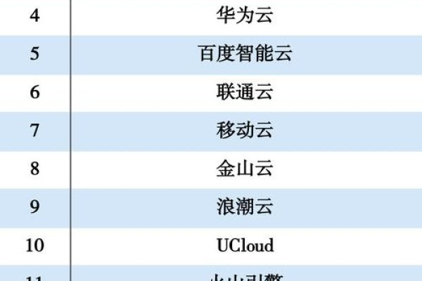 云计算公司排名前十名-百挑一
