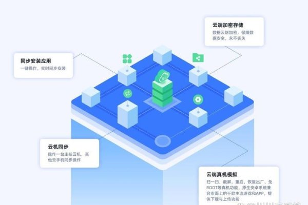 一年免费云主机,探索数字化转型的新机遇-百挑一