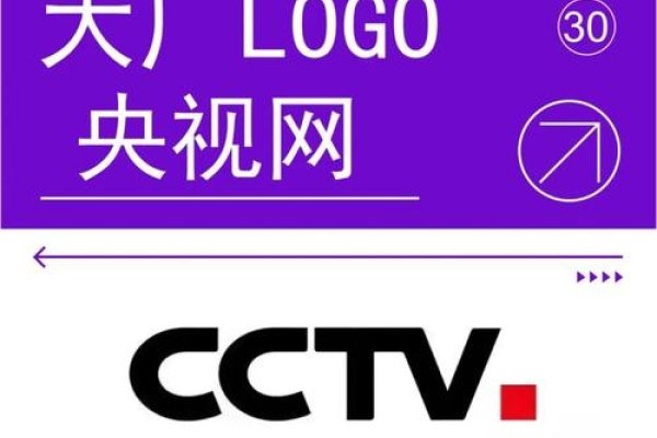 央视国际网站logo与CGTN含义及商标侵权争议解析建议，央视国际Logo及相关知识产权问题探讨。-百挑一
