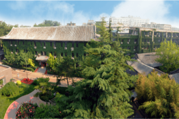 烟台网站建设策划与金宋网络技术优势解析。-百挑一