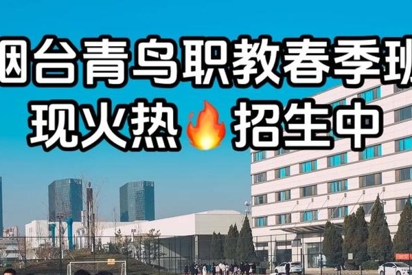烟台web培训与青鸟职教优势分析-百挑一
