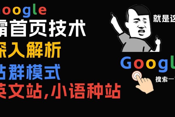 英文站群项目，构建多元化的在线交流平台-百挑一