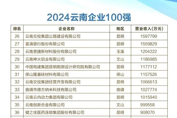 云南互联网企业十强-百挑一