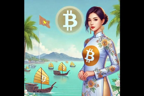 越南节点梯子，探索与理解-百挑一