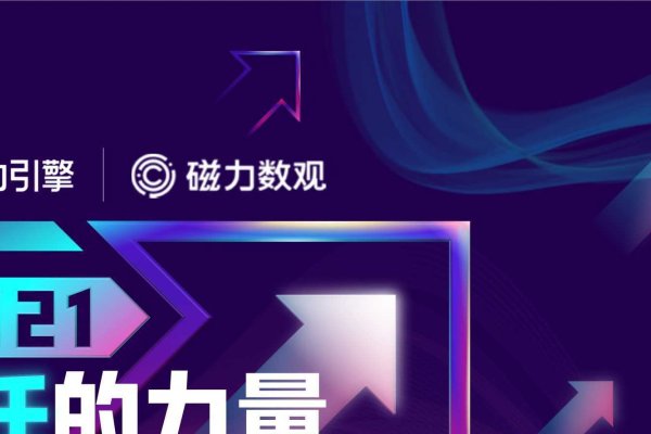 引擎搜索引领快手电商新篇章,探索电商新模式与未来趋势-百挑一