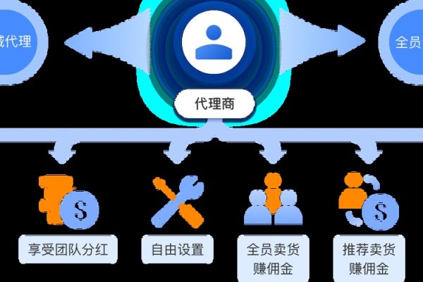 云储主机分销，开启数字化时代的分销新模式-百挑一