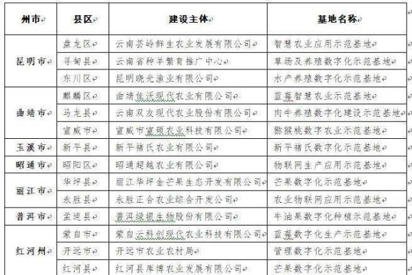云指建站系统，构建数字时代的在线新世界-百挑一