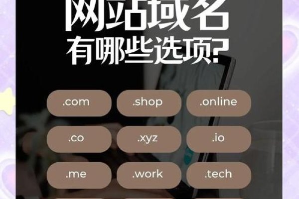 优质免费网站域名推荐-百挑一