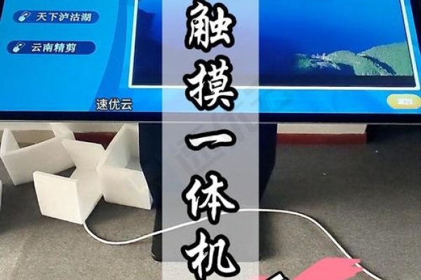 站点查网站，探索网络世界的便捷工具-百挑一