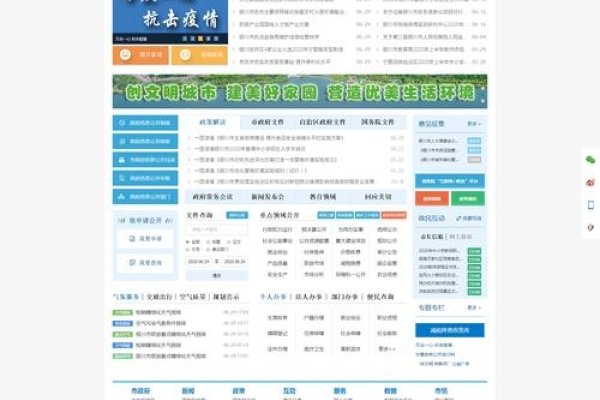 政府网站建设与服务需求-百挑一