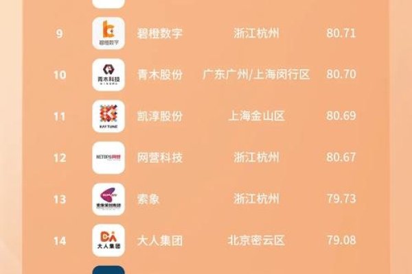 中国十大电商公司排行榜，引领数字经济的先锋力量-百挑一