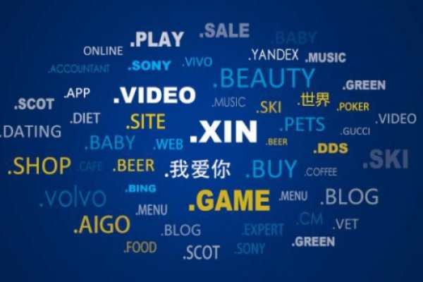 中国域名抢注指南,平台选择、定义与策略-百挑一
