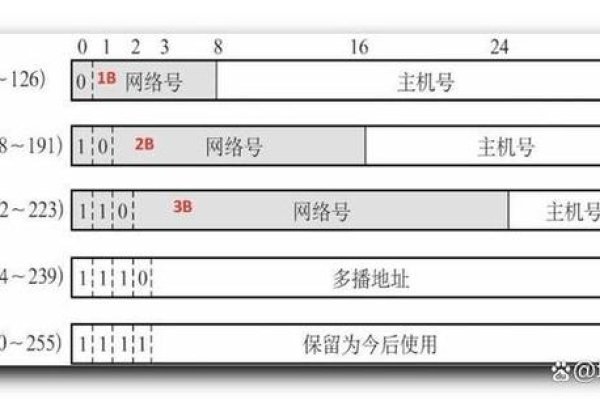 主机号与网络号的区别-百挑一