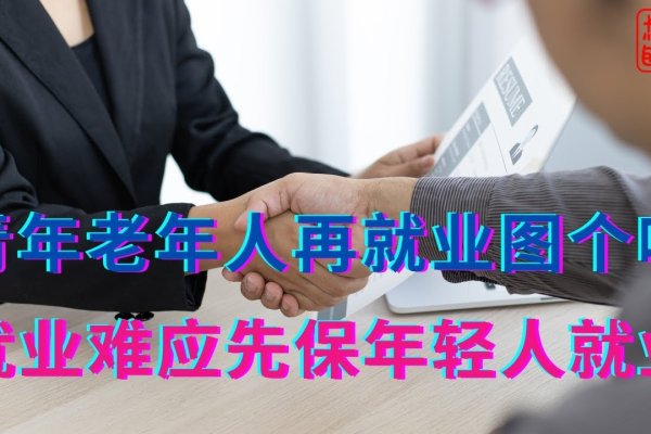 中年就业平台服务模式探索-百挑一