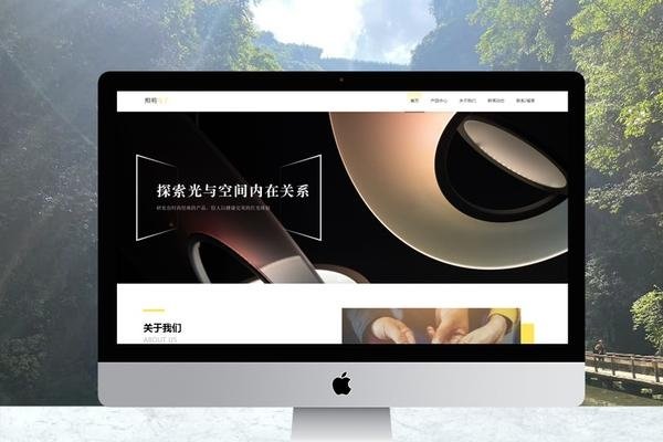 主题网站制作成本因素分析-百挑一