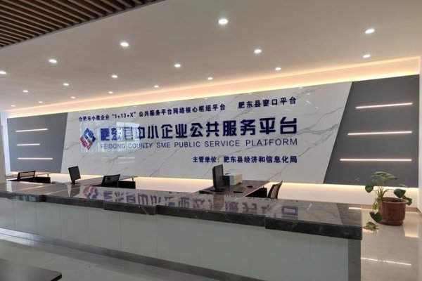 中小企业建立公共服务平台的必要性探讨-百挑一