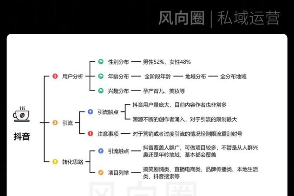 自媒体头条视频流量运营与盈利策略，揭秘短视频风口下的赚钱秘籍！-百挑一