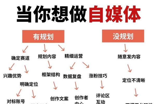 自媒体运营前途展望-百挑一