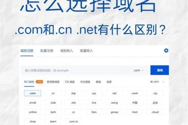 在线域名批量查询工具,高效便捷的域名管理利器-百挑一