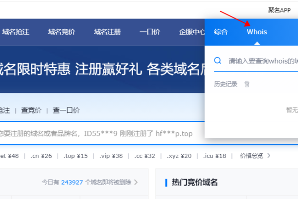 最新by72777域名查询报告-百挑一