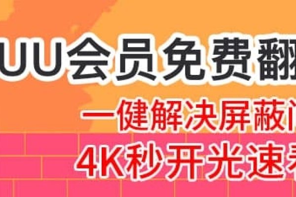 最新9UU域名动态,更换解析与品牌保护策略的挑战及解决方案-百挑一