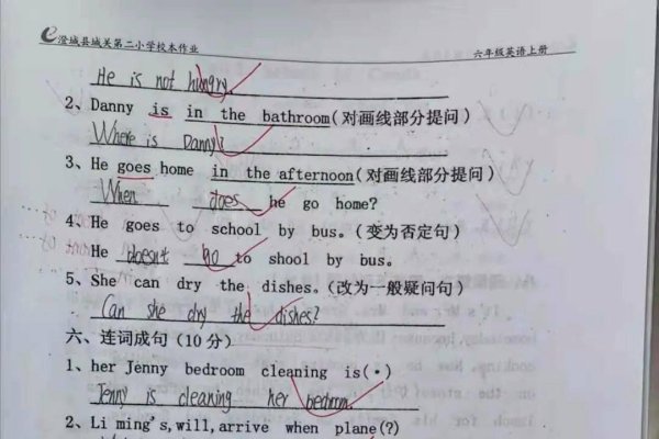 在线SEO检测工具，提升SEO优化的利器-百挑一