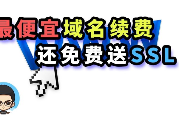 注册中文域名是否需要钱-百挑一