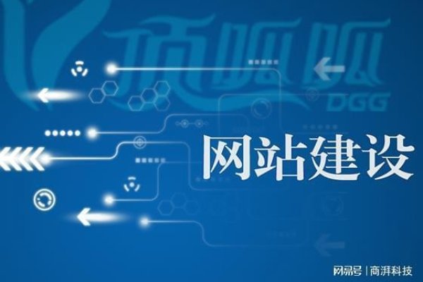 怎样建立网站卖货，全面指南-百挑一