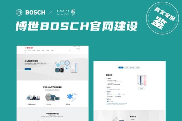 专业网页设计公司排行-百挑一