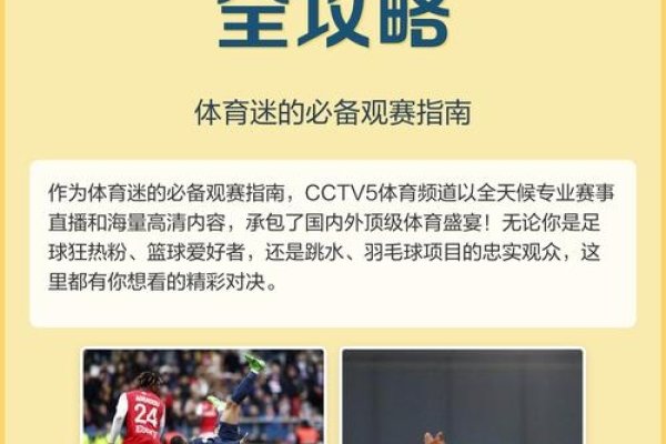 中央CCTV5直播在线观看,体育迷的必备选择-百挑一