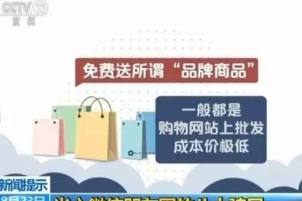 制作一个购物网站需要多少钱？全面解析成本与投资-百挑一